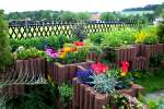Blumen