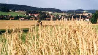 Getreidefeld